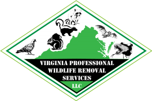 vpwrs-small-logo